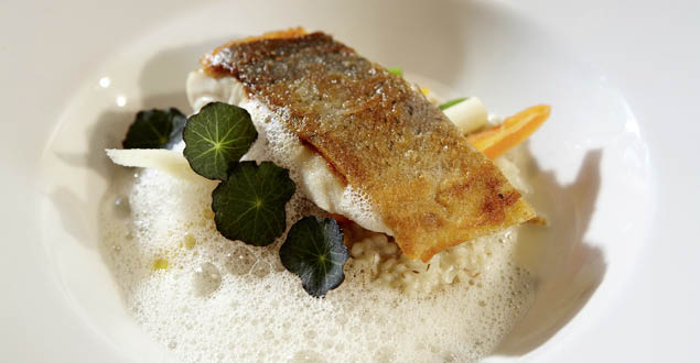 Hauptgericht - Fisch