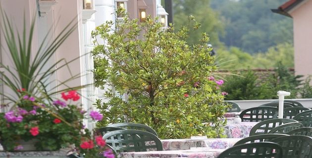 Terrasse des Hotel Krone