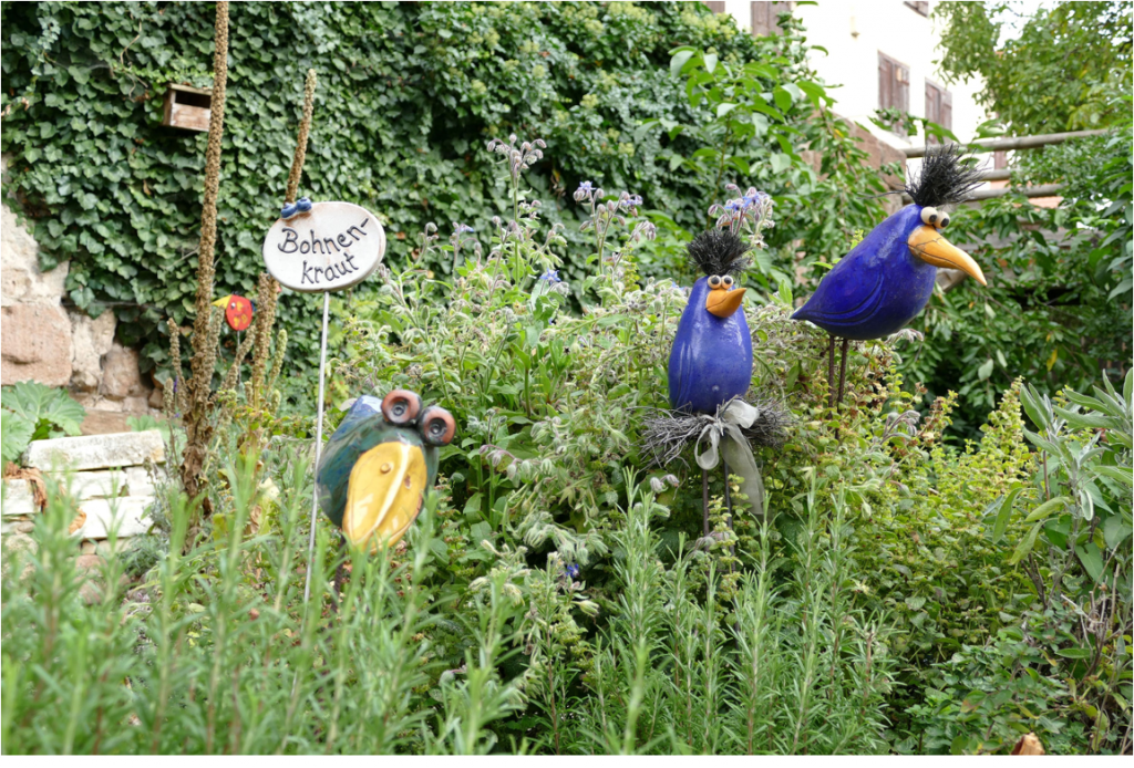 Nahaufnahme des Kräuterbeetes im Gasthof Bayerischer Hof